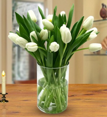 20 White Tulips in a vase Peaceful