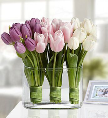 Vase With 30 Stem of Pink, White and Purple Tulips Tulips in A Vase
