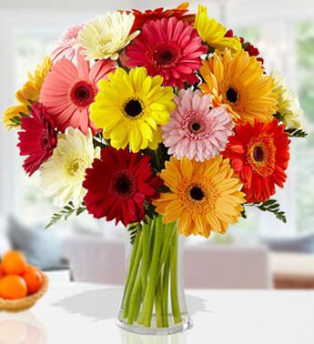 Glass Vase with 20 Mixed color gerbera Bright N Beautiful