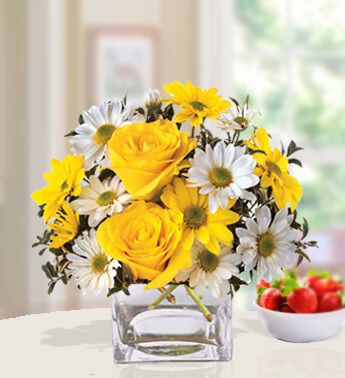 3 Yellow and 3 White stems of Chrysanthemum ,3 Yellow Rose in a cube vase (one sided round arrangement) Morning Glow
