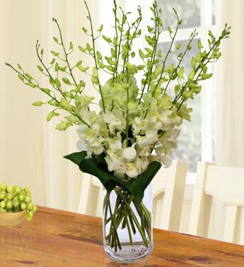 10 White Orchids in a glass vase Grand Celebratory