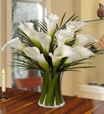 10 Cala Lily in a Vase Admiring Beauty