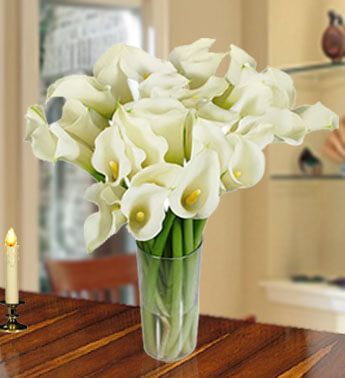 Vase with 20 Stems of Calla Lilies Sophistication