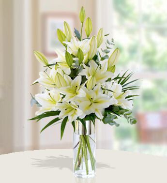 6 stems of white Lilies in a Vase Stunning White 18