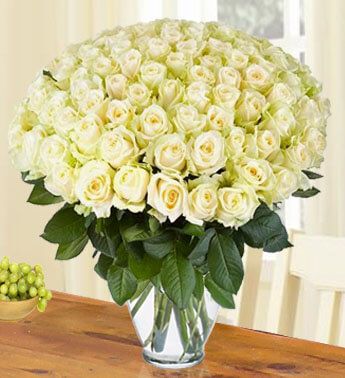 100 stems of White Roses in a vase Innocence and Purity