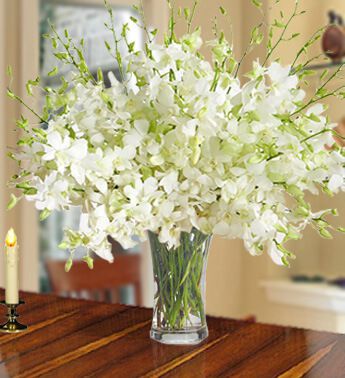 40 Stems of White Orchid in a vase. Upscale Tastes