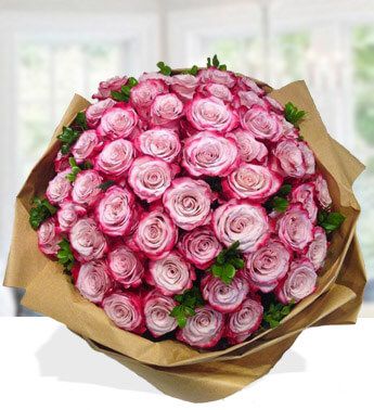 Bunch of 50 Purple Rose in nice wrapping Lovely Roses