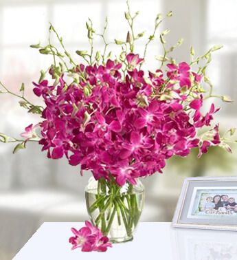 Vase with 30 stems of Purple Orchids Warm Glow 30