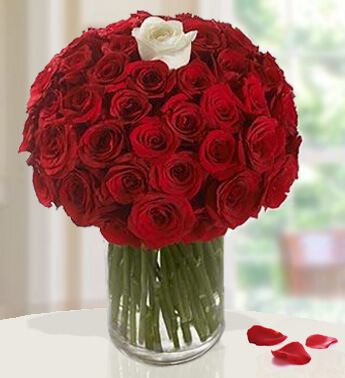 Vase with 100 Red Roses & 1 White Rose Bold Bouquet