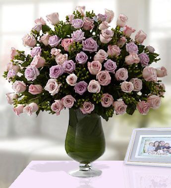 Vase with 100 Pink and Purple Roses & Gypsophelia Just For Her