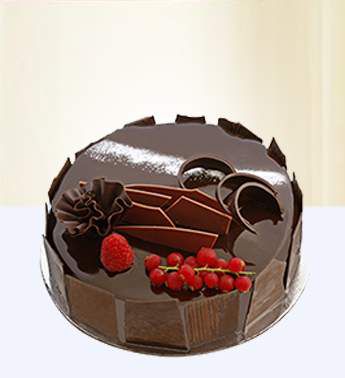 Chocolate Sponge Cake Chocolate Sponge Cake
