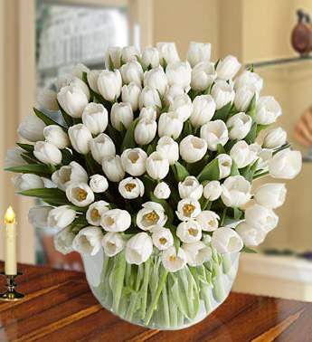 70 stems of white tulips in a vase Wistful Wishes 70