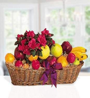Basket with fresh fruits, apples, oranges, pears and bananas. Decorated with dark pink carnations and a sweet ribbon bow. Fruits & Flowers